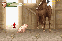 Charlotte's Web